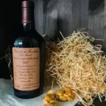 Italian Primitivo wine