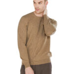 men-sweater-cashmere-crew_neck-FELLINI-brown