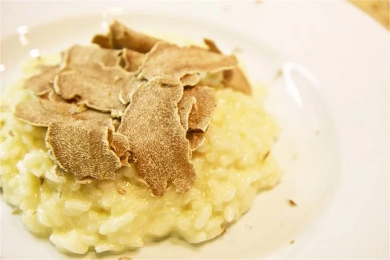 risotto_tartufo_tesori_del_matese-1024x683-1-768x512 risotto_tartufo_tesori_del_matese-1024x683-1-768x512