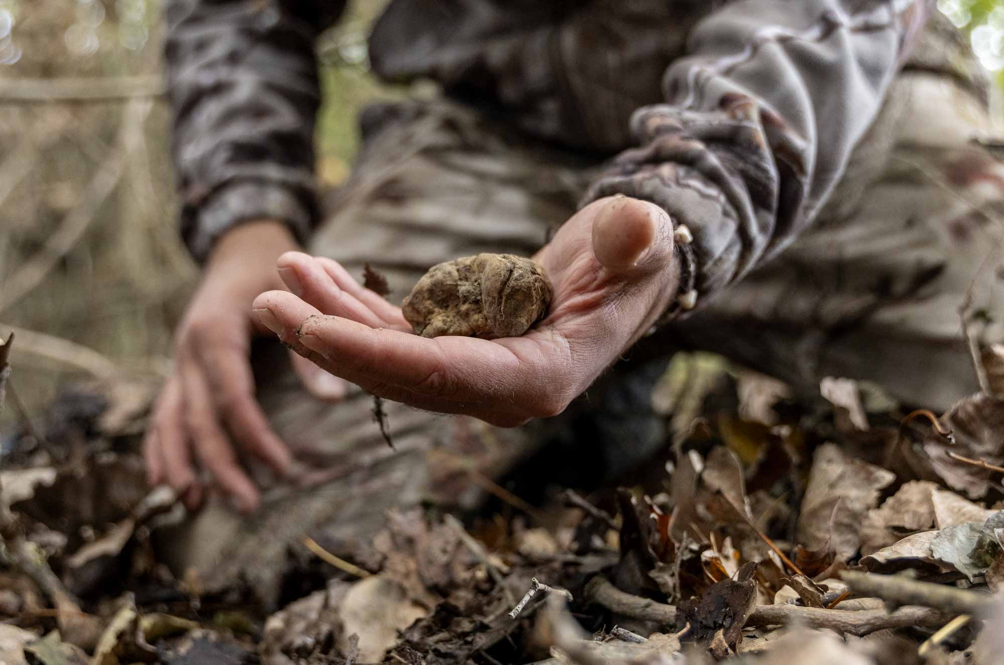 TESORI DEL MATESE TESORI DEL MATESE