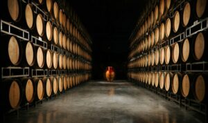 Tenute delle Jato Winery