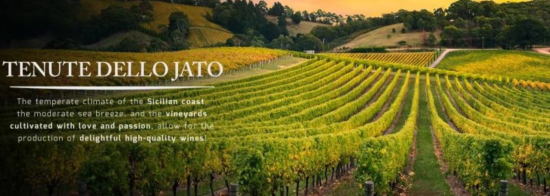 tenute-dello-jato-winery-sicily.jpg