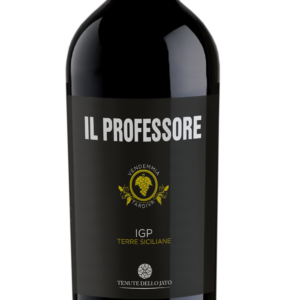 Tenute dello Jato Syrah single bottle Sicilian Syrah wine