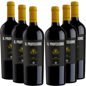 Syrah wine Sicily Tenute dello Jato Syrah Sicilian Syrah wine